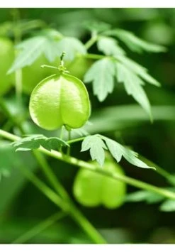 pflege Verkauf -pflege Verkauf unnamed file 369