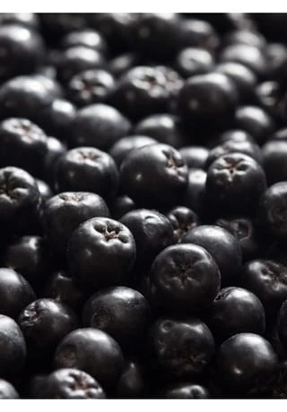 RAUSCH STYLING-LINIE FRESH 190g 2 RAUSCH STYLING-LINIE FRESH 190g – Bild 2