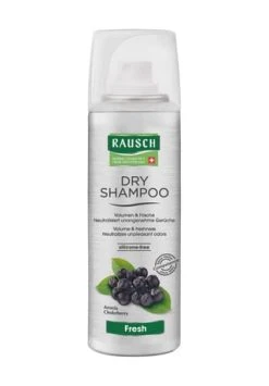 RAUSCH Dry Shampoo Fresh 150ml