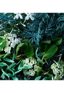 MOLTON BROWN Delicious Rhubarb & Rose Edle Handseife -pflege Verkauf unnamed file 576