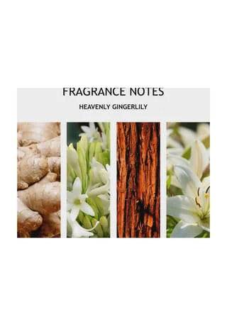 MOLTON BROWN HAND CARE Heavenly Gingerlily Hand Cream 40ml 2 MOLTON BROWN HAND CARE Heavenly Gingerlily Hand Cream 40ml – Bild 2