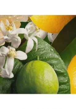 MOLTON BROWN Orange & Bergamot Handcreme 40ml -pflege Verkauf unnamed file 589