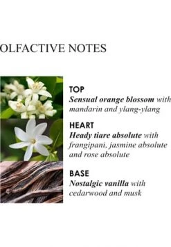 MOLTON BROWN HAND CARE Flora Luminare Hand Lotion 300ml -pflege Verkauf unnamed file 592