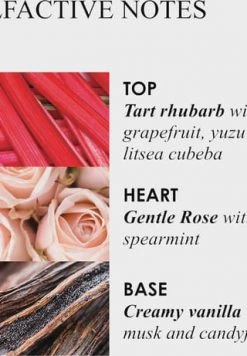 MOLTON BROWN HAND CARE Delicious Rhubarb & Rose Hand Sanitiser Gel 100ml -pflege Verkauf unnamed file 602