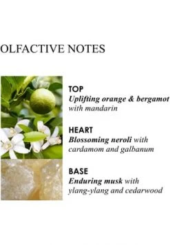 MOLTON BROWN Orange & Bergamot, Handgel 100.0 ML -pflege Verkauf unnamed file 606